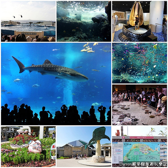 海洋博公園,海洋水族館,親子景點,沖繩景點,沖繩自由行,日本自由行,日本自駕