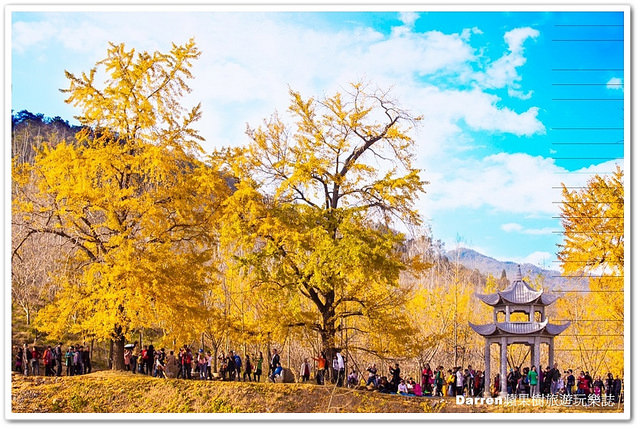 中國千年銀杏谷景區,石磨博物館,中國旅遊,湖北旅遊,襄陽旅遊