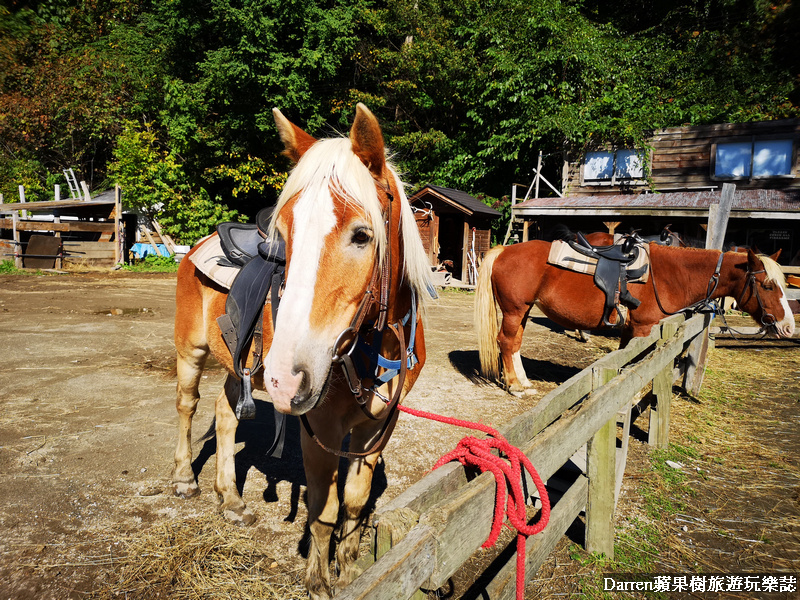 札幌騎馬,日本北海道,日本騎馬體驗,北海道騎馬