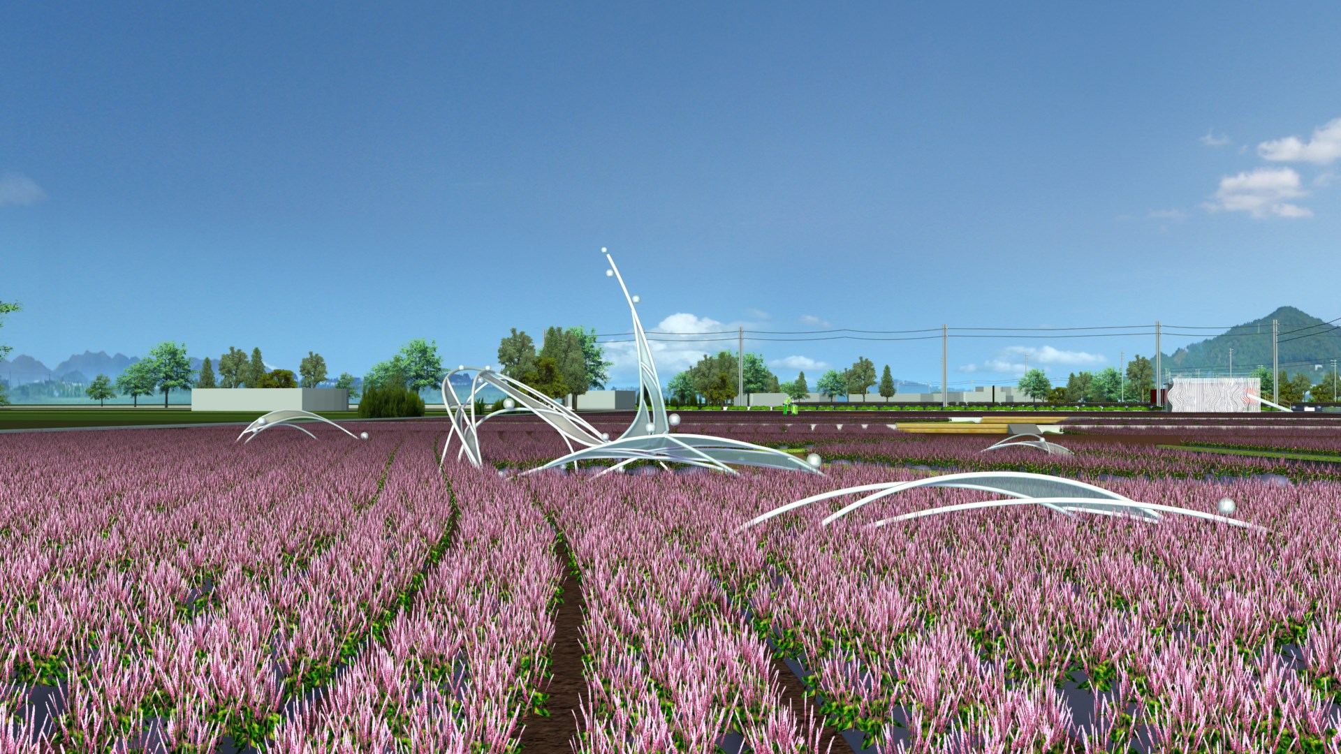 2021桃園仙草花節癒風仙境|桃園仙草花海紫色花海時間地點交通資訊整理