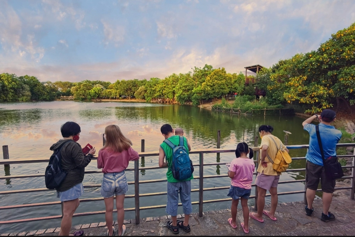 桃園八德埤塘自然生態公園|桃園親子景點野餐看小動物附近景點美食交通